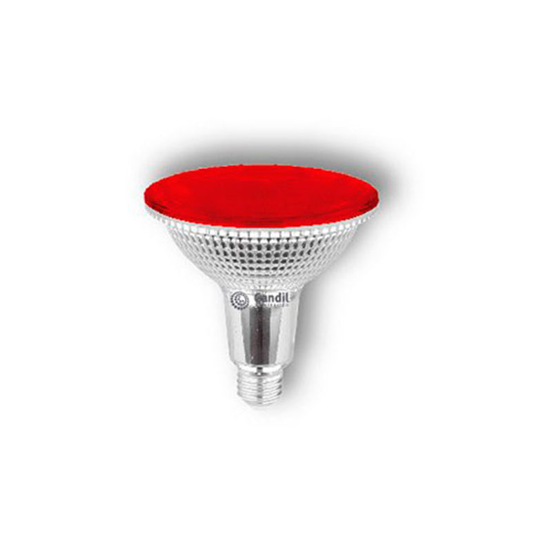 Lámpara Led Par 38 14W E27