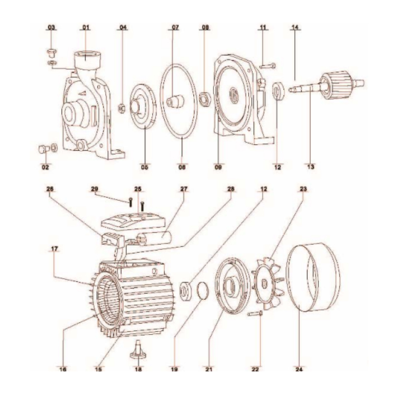 Bomba centrífuga 3/4 HP turbina de bronce - Imagen 5